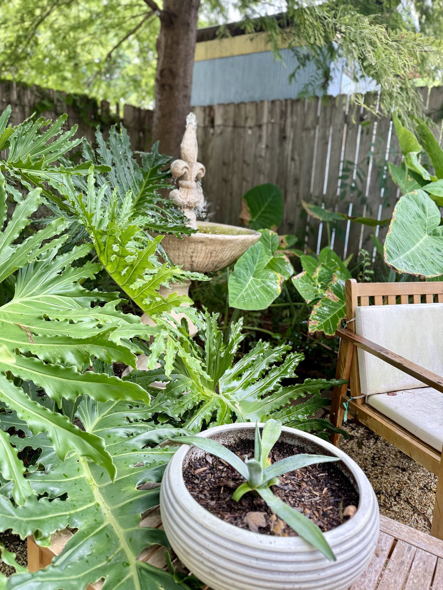 Madeleine House — property view 18