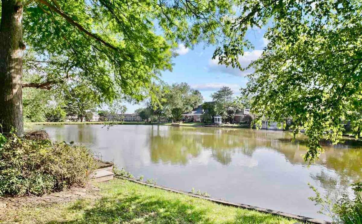 Moss Manor — property view 17